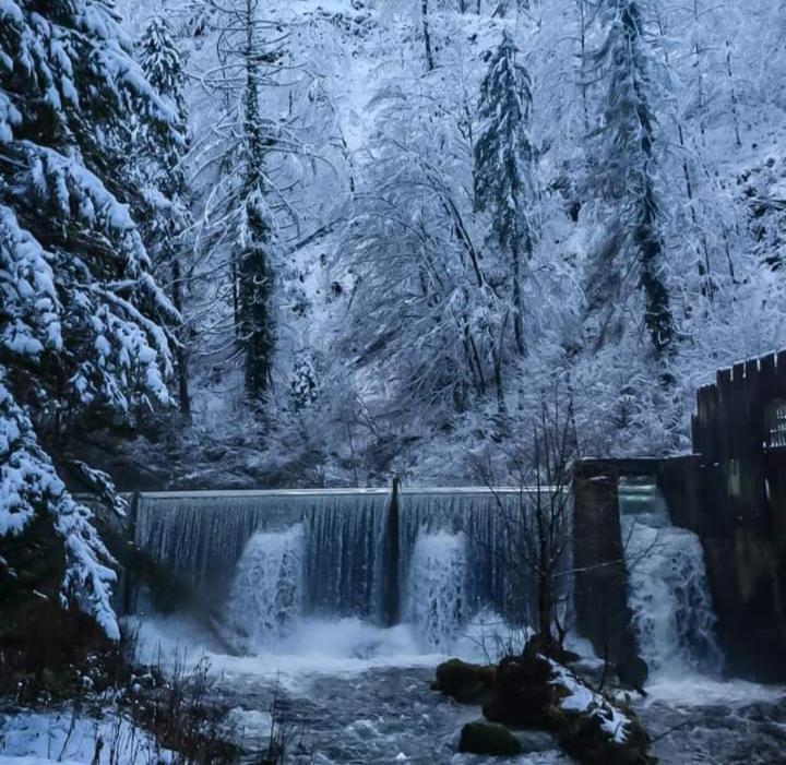 Dvije Lipe Daire Moravice Dış mekan fotoğraf