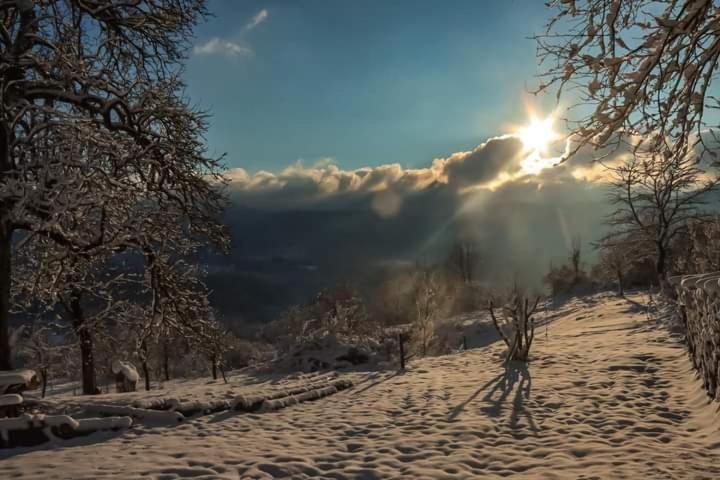 Dvije Lipe Daire Moravice Dış mekan fotoğraf