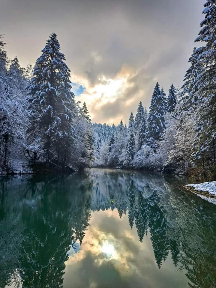 Dvije Lipe Daire Moravice Dış mekan fotoğraf